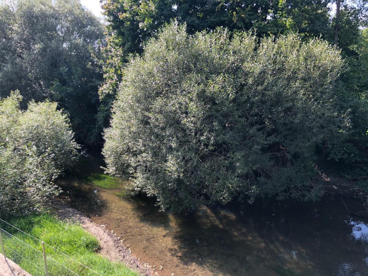Hotel Muehleinsel Kenzingen Luaran gambar